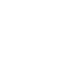 Content Manager