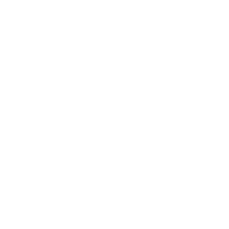 UX Designer / Tester